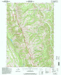 Bailey Lake 1996 topographic map thumbnail