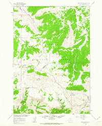 Bald Mountain 1960 topographic map thumbnail