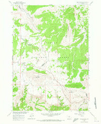 Bald Mountain 1960 topographic map thumbnail