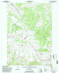 Bald Mountain 1993 topographic map thumbnail