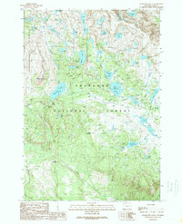 Beartooth Butte 1989 topographic map thumbnail