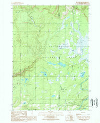Bechler Falls 1989 topographic map thumbnail