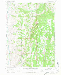Big Park 1967 topographic map thumbnail
