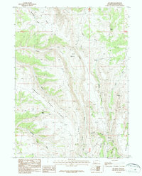 Big Ridge 1987 topographic map thumbnail