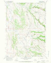 Big Trails 1966 topographic map thumbnail