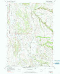 Big Trails 1966 topographic map thumbnail