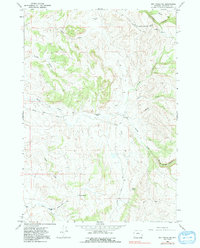 Big Trails NE 1966 topographic map thumbnail