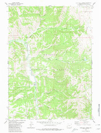 Blind Bull Creek 1980 topographic map thumbnail