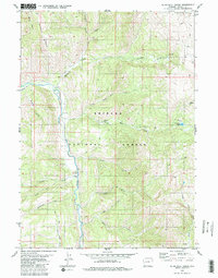 Blind Bull Creek 1980 topographic map thumbnail