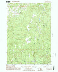 Black Hills 1984 topographic map thumbnail