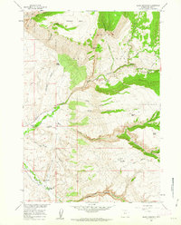 Black Mountain 1960 topographic map thumbnail