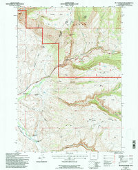 Black Mountain 1993 topographic map thumbnail