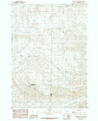 Blue Mesa East 1985 topographic map thumbnail