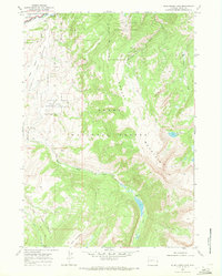 Blue Miner Lake 1968 topographic map thumbnail