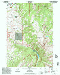 Blue Miner Lake 1996 topographic map thumbnail