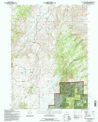 Blue Nose Creek 1992 topographic map thumbnail