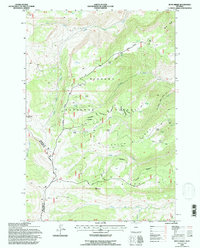 Boyd Ridge 1993 topographic map thumbnail