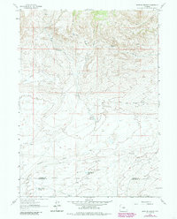 Brenton Springs 1961 topographic map thumbnail