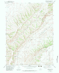 Bridger Pass 1983 topographic map thumbnail