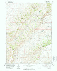 Bridger Pass 1983 topographic map thumbnail