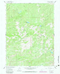 Bridger Peak 1983 topographic map thumbnail