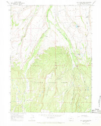 Buck Fever Ridge 1964 topographic map thumbnail