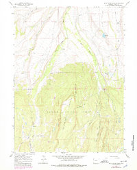 Buck Fever Ridge 1964 topographic map thumbnail