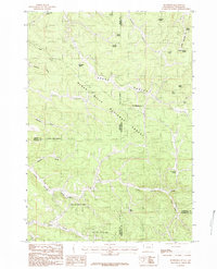 Buckhorn 1984 topographic map thumbnail