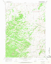 Buffalo Peak 1964 topographic map thumbnail