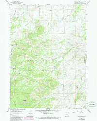 Buffalo Peak 1964 topographic map thumbnail