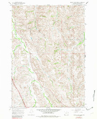 Buffalo Run Creek 1967 topographic map thumbnail