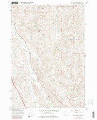 Buffalo Run Creek 1967 topographic map preview