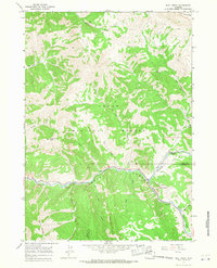 Bull Creek 1965 topographic map thumbnail