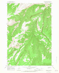 Bull Elk Park 1964 topographic map thumbnail