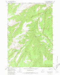 Bull Elk Park 1964 topographic map thumbnail