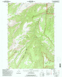 Bull Elk Park 1993 topographic map thumbnail