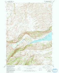 Bull Lake West 1952 topographic map thumbnail