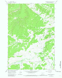 Burgess Junction 1964 topographic map thumbnail