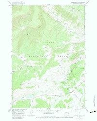 Burgess Junction 1964 topographic map thumbnail