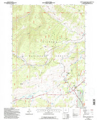 Burgess Junction 1993 topographic map thumbnail