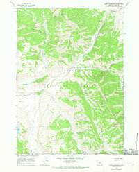 Burnt Mountain 1965 topographic map thumbnail
