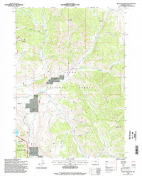 Burnt Mountain 1996 topographic map thumbnail