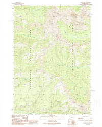 Canoe Lake 1989 topographic map thumbnail