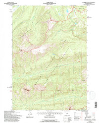 Cathedral Peak 1991 topographic map thumbnail