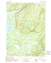 Cave Falls 1989 topographic map thumbnail
