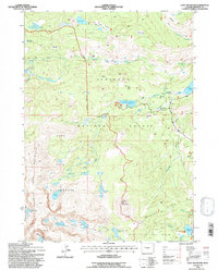 Cony Mountain 1991 topographic map thumbnail