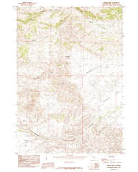 Crater Sink 1985 topographic map thumbnail