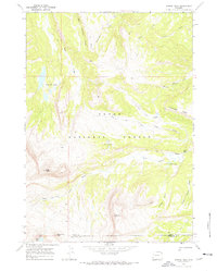 Darwin Peak 1967 topographic map thumbnail