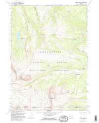 Darwin Peak 1967 topographic map thumbnail