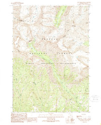 Dead Indian Peak 1989 topographic map thumbnail